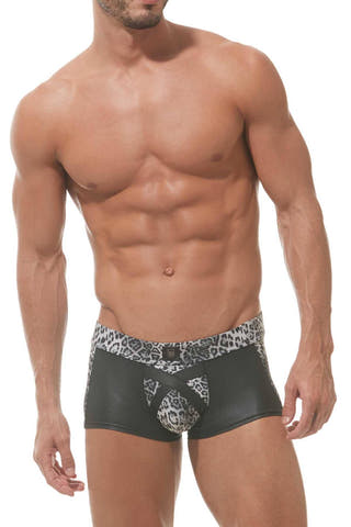 Gregg Homme Grey-Leopard Captive Trunk