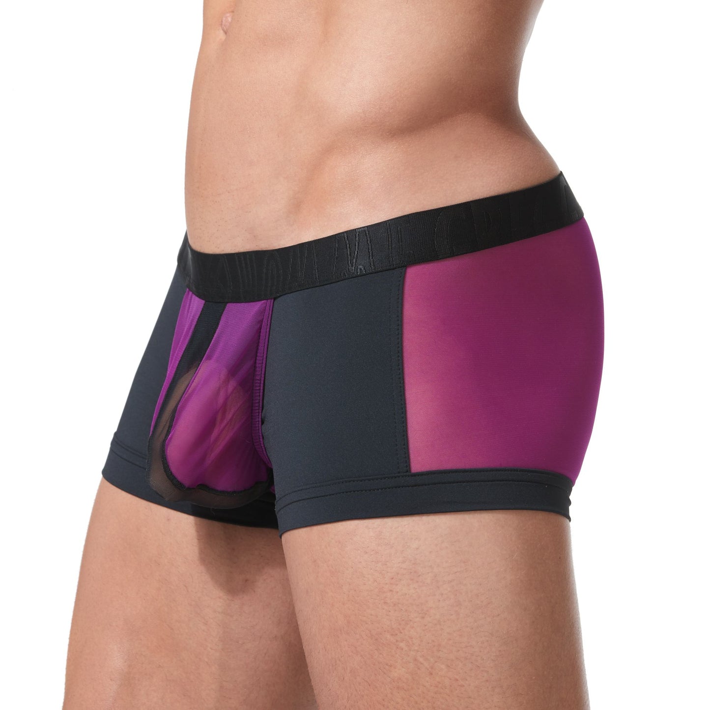 Gregg Homme Magenta Temptation C-Ring Trunk