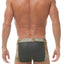 Gregg Homme Natural-Leopard Captive Trunk