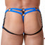 Gregg Homme Royal-Blue Octane 2.0 Harness Trunk