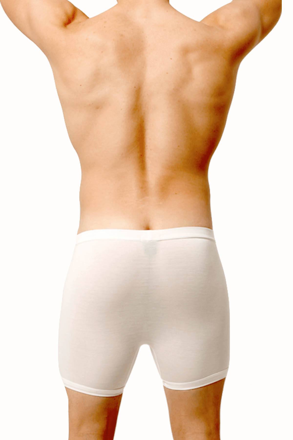 Hades Natural Boxer Brief