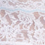 Hanky Panky PLUS White Bridal Annabelle Boyshort