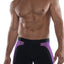 HardCore Purple/Black XXX Mesh Trunk
