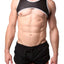 HardCore by GoSoftwear Black/Grey Fetiche Harness