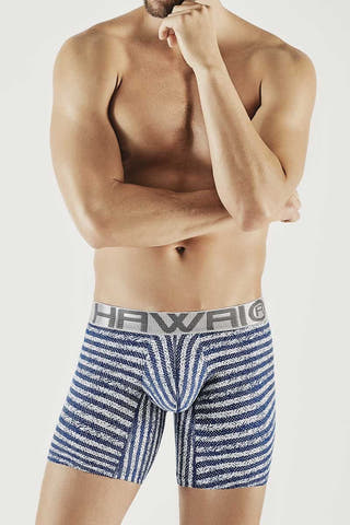 Hawai Blue Pixil Stripes Boxer Brief