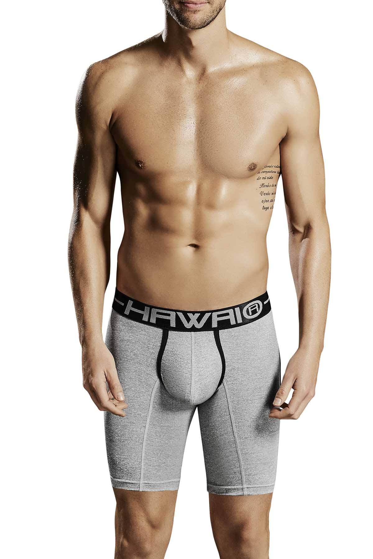 Hawai Grey 41700 Boxer Brief