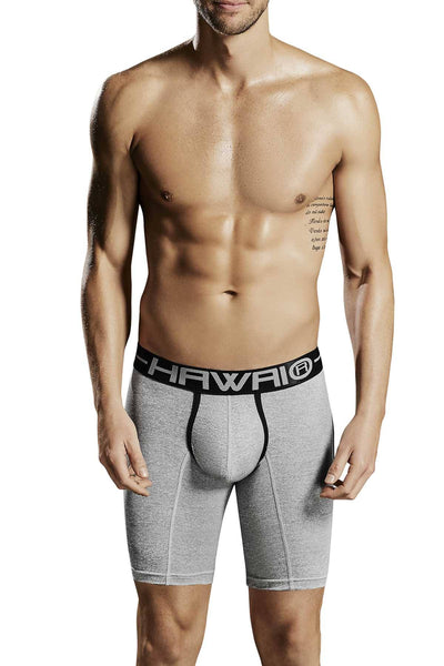 Hawai Grey 41700 Boxer Brief