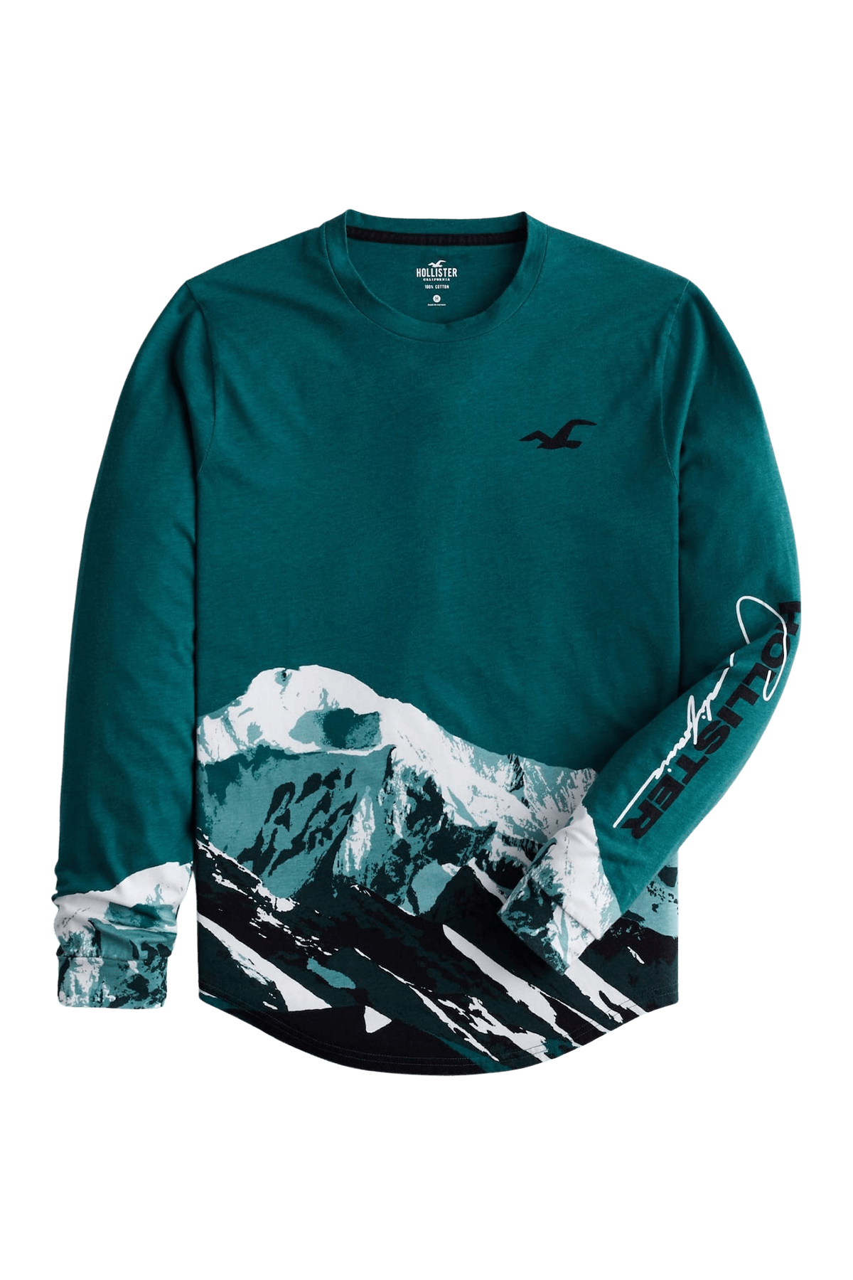 Hollister Curved Hem T-Shirt Dark Teal