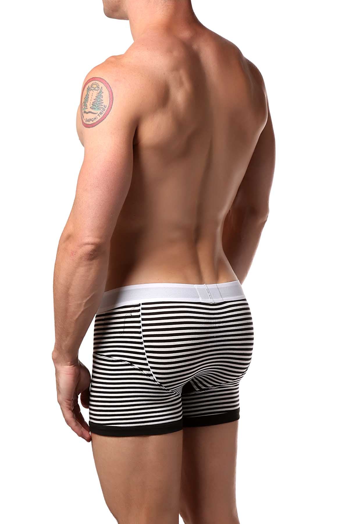 James Tudor Black & White Regal Boxer