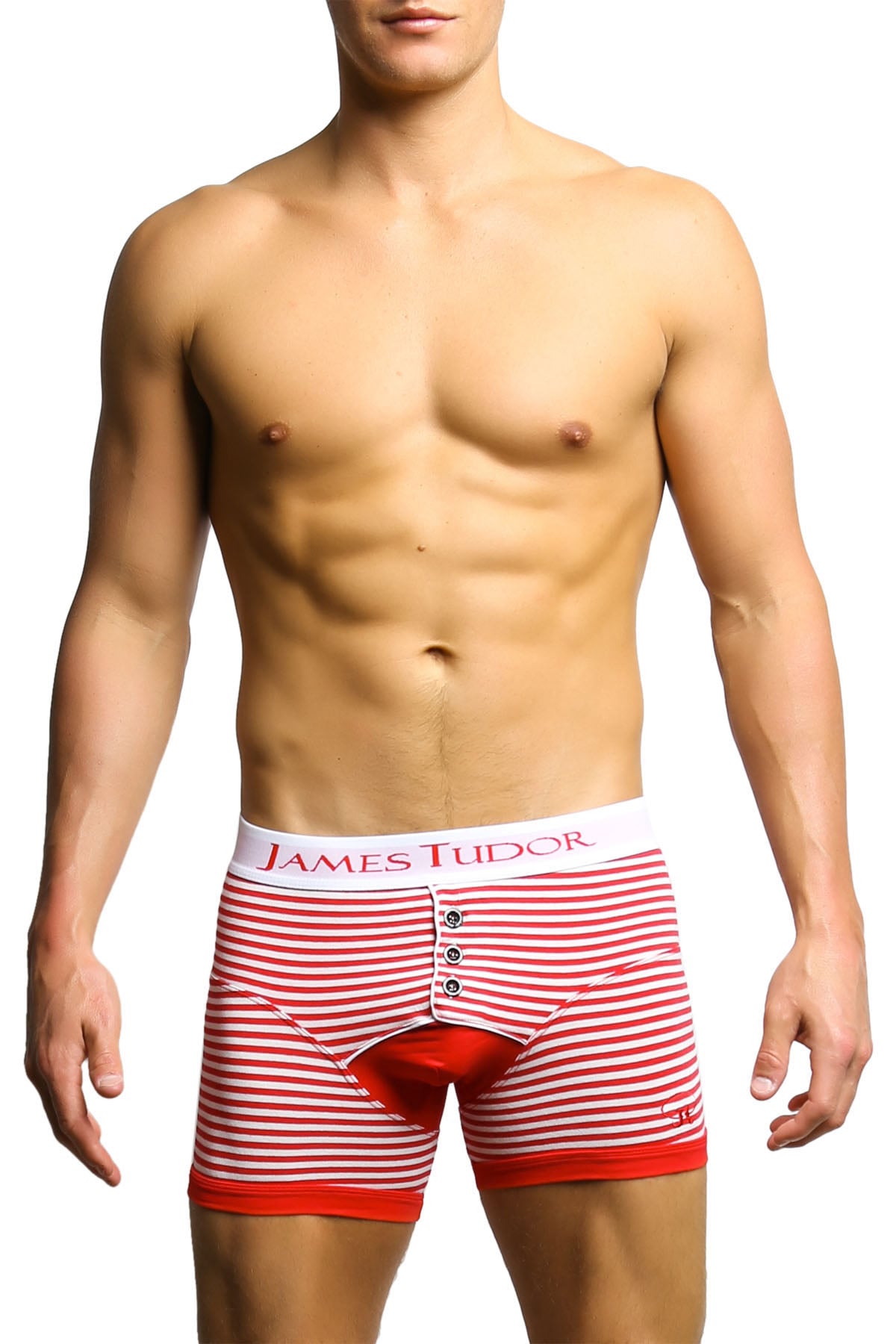 James Tudor Red & White Regal Boxer