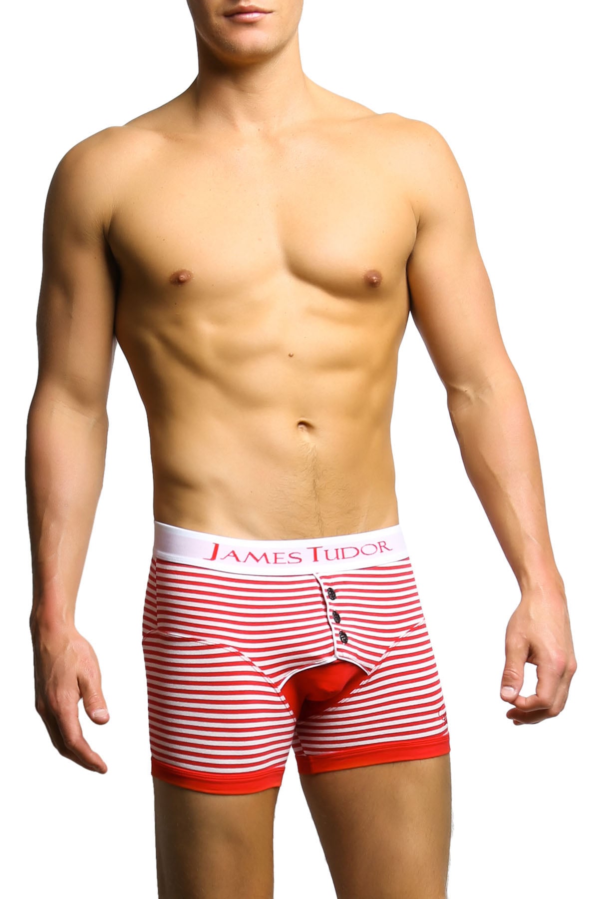 James Tudor Red & White Regal Boxer