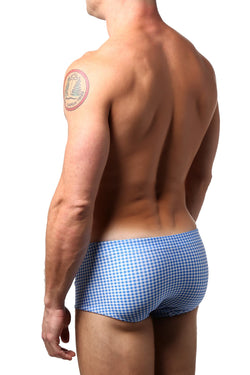 JustinCase Baby Blue Gingham Swim Trunk thumbnail 2