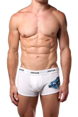 Justus Boyz White Motorcycle Trunk