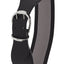 Lauren Ralph Lauren Black/White Cornwall II Stretch Belt