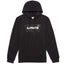 Levi's Burndlen Fleece Logo Hoodie Caviar