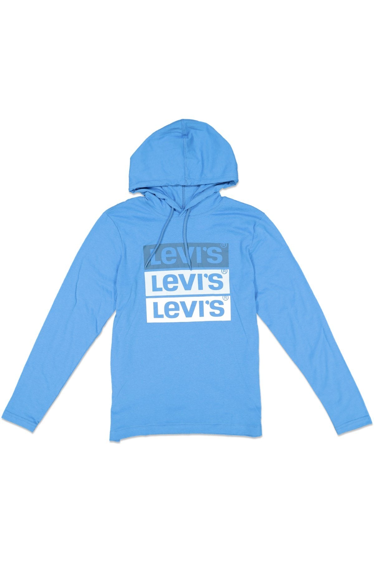 Levi's Evans Logo Graphic Hoodie CAMPANULA