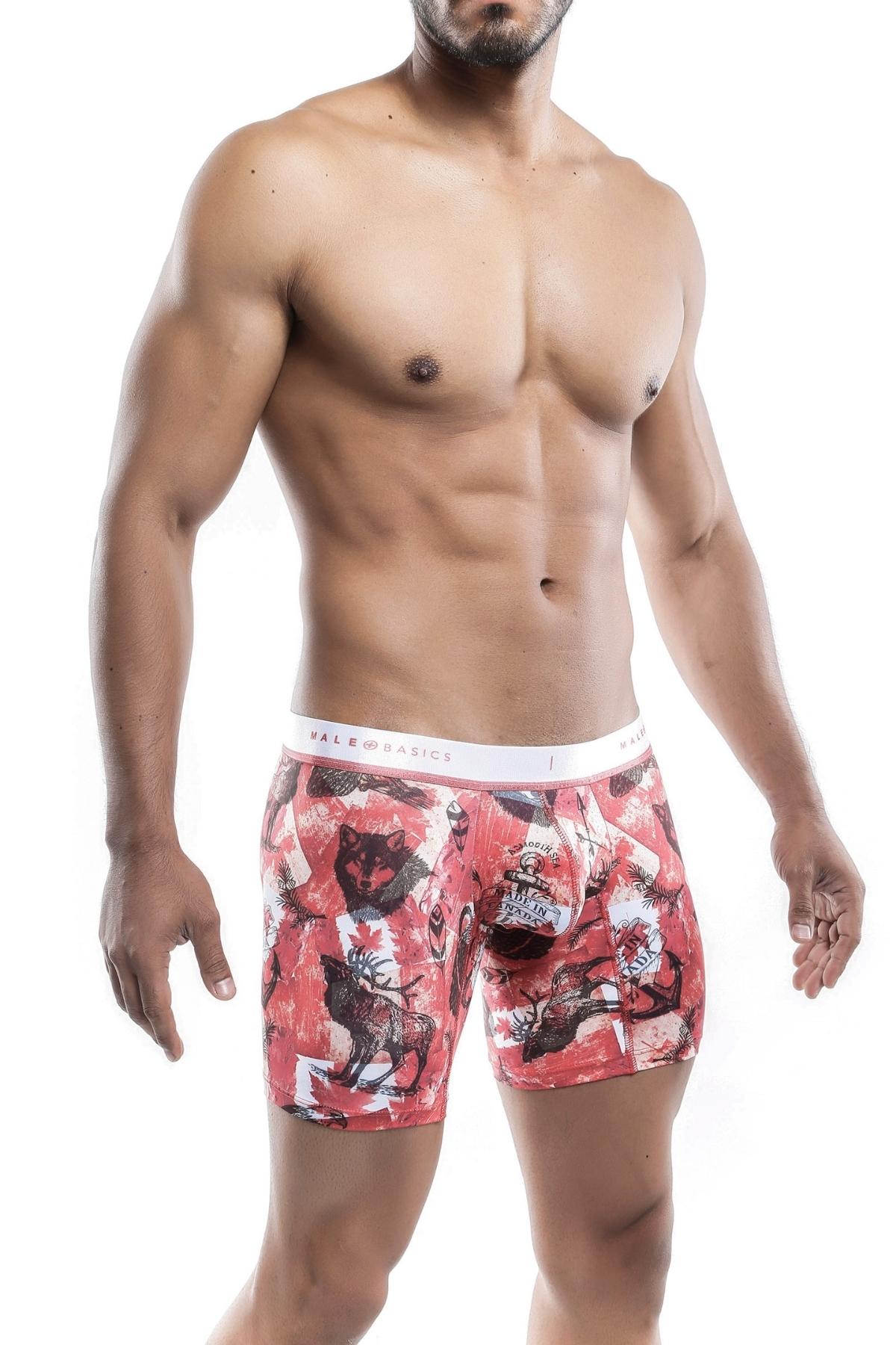 Male Basics Canada Hipster Boxer Brief