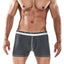 Male Basics Grey Everyday Trunk