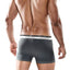 Male Basics Grey Everyday Trunk