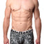 Male Basics Jungle Microfiber Trunk