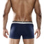 Male Basics Navy Everyday Trunk