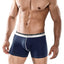 Male Basics Navy Everyday Trunk