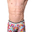 Male Basics Plum Pixels Hipster Trunk