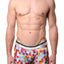 Male Basics Plum Pixels Hipster Trunk