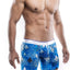 Male Basics Quebec Hipster Boxer Brief