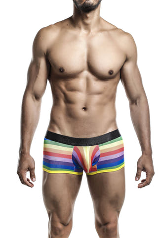 Male Basics Rainbow Flag Trunk