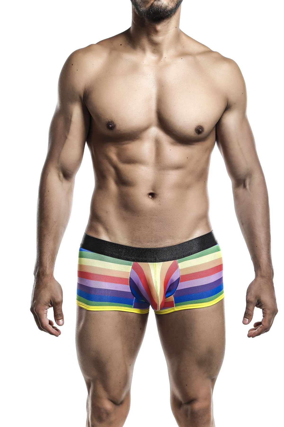 Male Basics Rainbow Flag Trunk