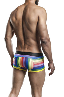 Male Basics Rainbow Flag Trunk thumbnail 2