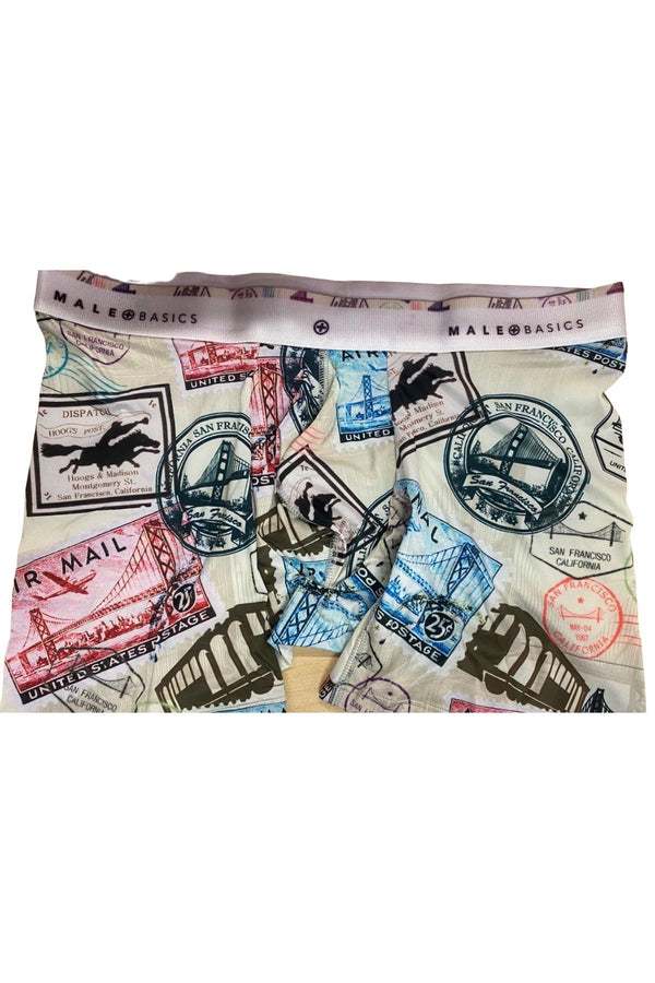 Male Basics San Francisco Hipster Boxer Brief