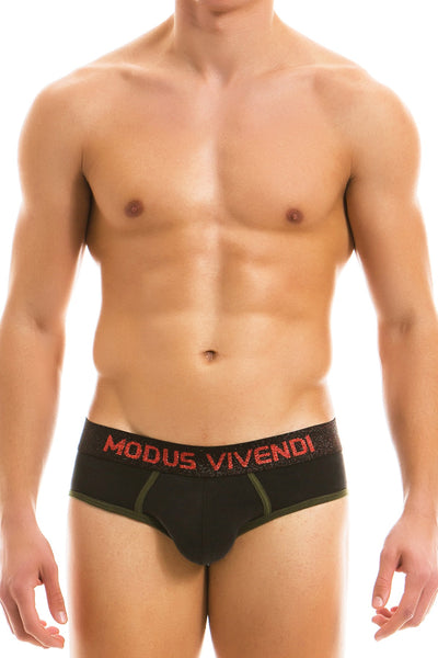 Modus Vivendi Black Floral Brief