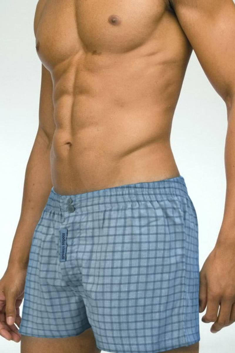 Modus Vivendi Blue Plaid Boxer