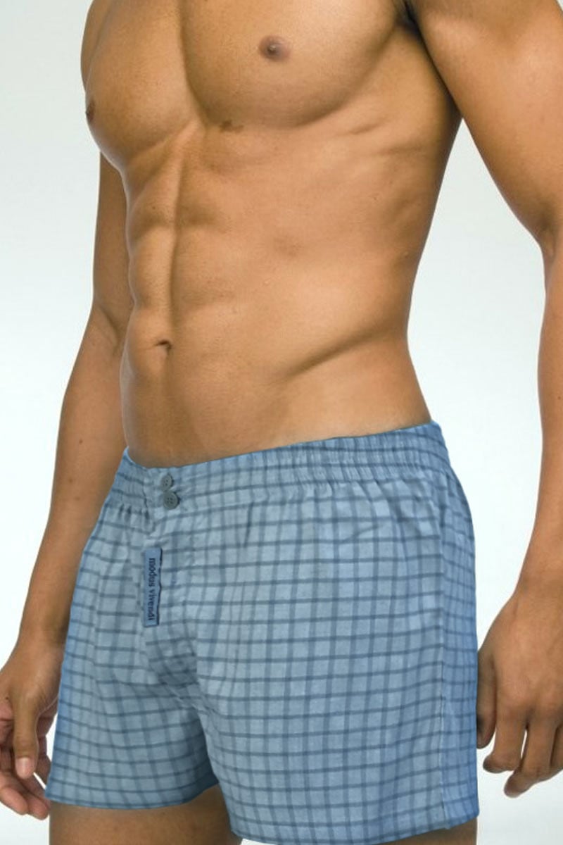 Modus Vivendi Blue Plaid Boxer