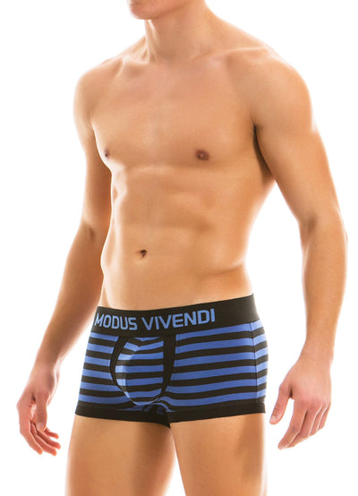 Modus Vivendi Blue Striped Boxer