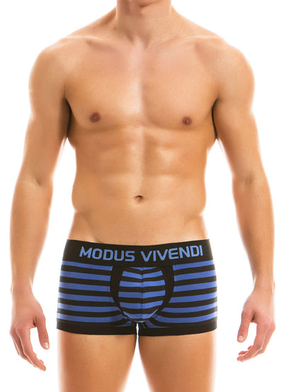 Modus Vivendi Blue Striped Boxer