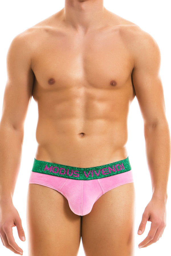 Modus Vivendi Fuchsia Floral Brief