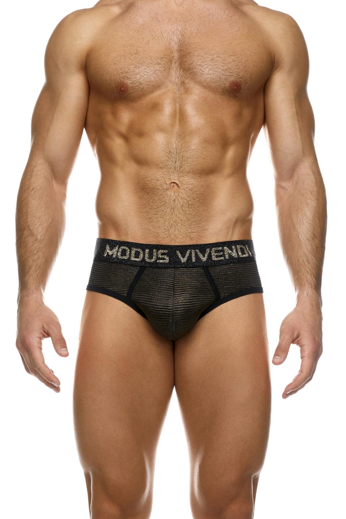 Modus Vivendi Gold Stripe Festive Brief