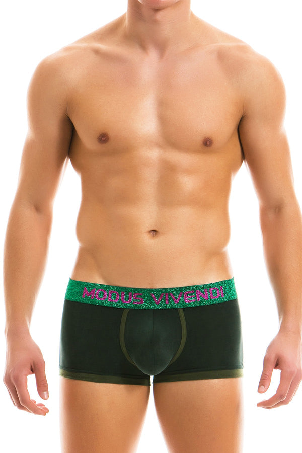 Modus Vivendi Green Floral Boxer