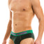 Modus Vivendi Green Floral Brief