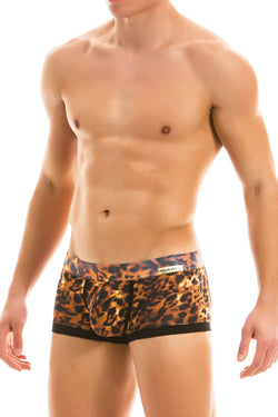 Modus Vivendi Leopard Animal Boxer thumbnail 2