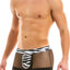 Modus Vivendi Zebra C-Through Boxer