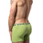 Mosmann Green Citron Boxer