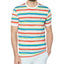 Original Penguin Painters Stripe T-shirt Bright White