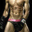 PPÜ Black/Pink Sheer Bikini Brief
