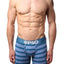 PSD Dolphin-Blue Striped Boxer Brief