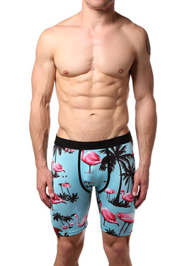 PSD Turquoise/Pink Flamingo Inn Boxer Brief thumbnail 1
