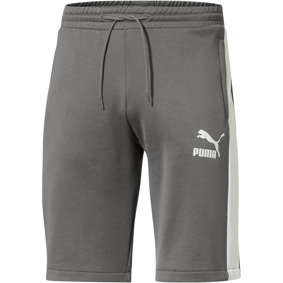 PUMA Freizeit Shorts Men's Shorts gray